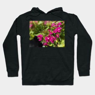 Pink Spiky Flowers 2 Hoodie